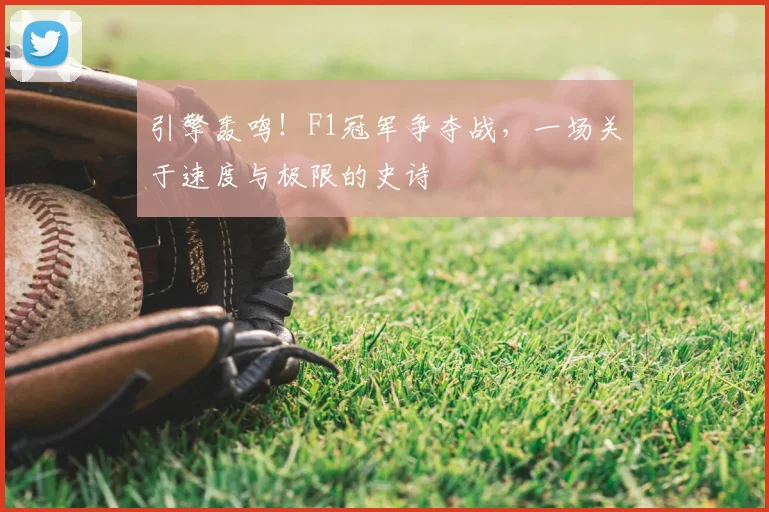 引擎轰鸣！F1冠军争夺战，一场关于速度与极限的史诗