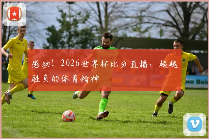 感动！2026世界杯比分直播，超越胜负的体育精神