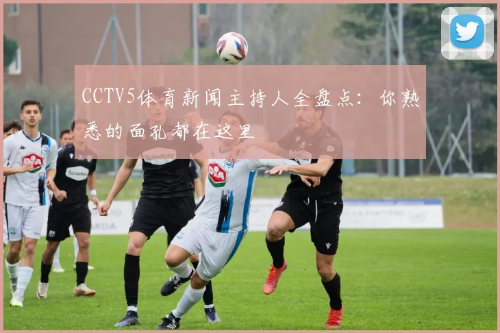 CCTV5体育新闻主持人全盘点：你熟悉的面孔都在这里