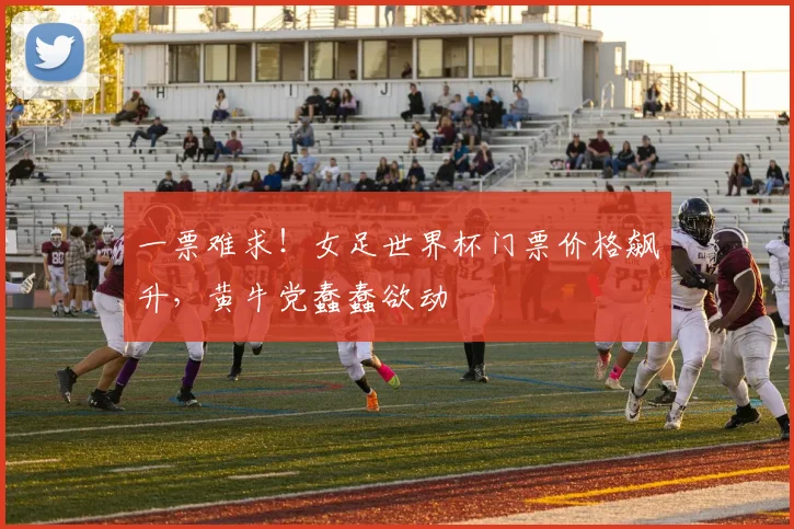 一票难求！女足世界杯门票价格飙升，黄牛党蠢蠢欲动