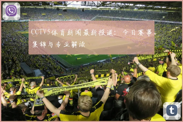 CCTV5体育新闻最新报道:今日赛事集锦与专业解读